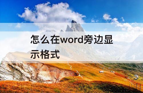 怎么在word旁边显示格式