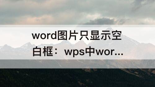 word图片只显示空白框：wps中word图片只显示空白框