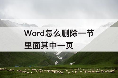 Word怎么删除一节里面其中一页