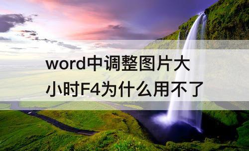 word中调整图片大小时F4为什么用不了