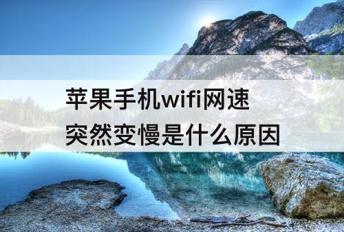 苹果手机wifi网速突然变慢是什么原因