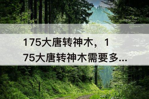 175大唐转神木，175大唐转神木需要多少钱