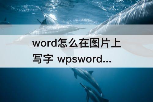 word怎么在图片上写字 wpsword怎么在图片上写字