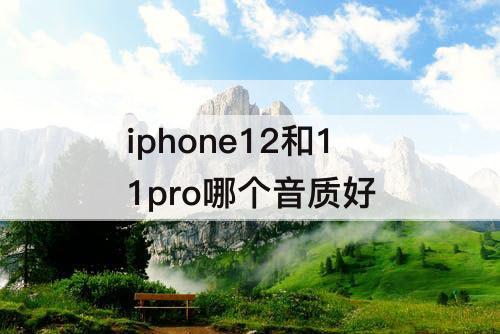 iphone12和11pro哪个音质好