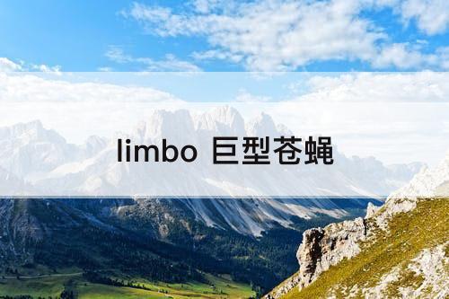 limbo 巨型苍蝇