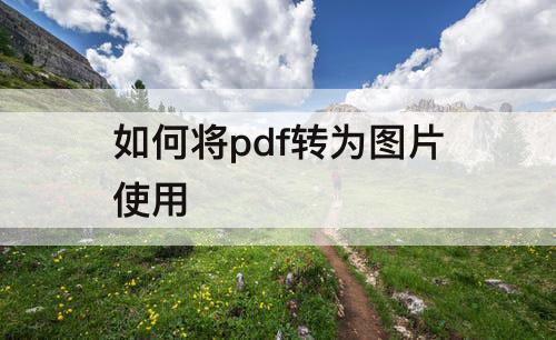 如何将pdf转为图片使用