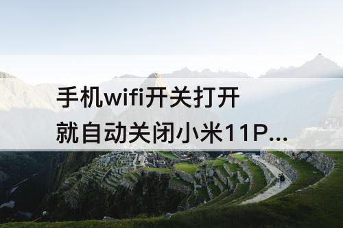 手机wifi开关打开就自动关闭小米11Pro