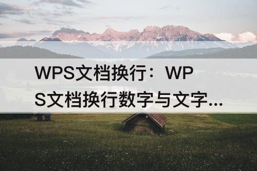 WPS文档换行：WPS文档换行数字与文字之间有个箭头