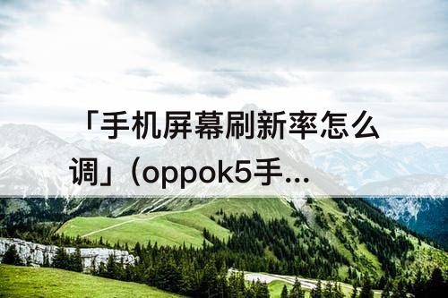 「手机屏幕刷新率怎么调」(oppok5手机屏幕刷新率怎么调)