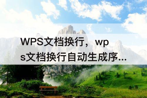 WPS文档换行，wps文档换行自动生成序号怎么取消