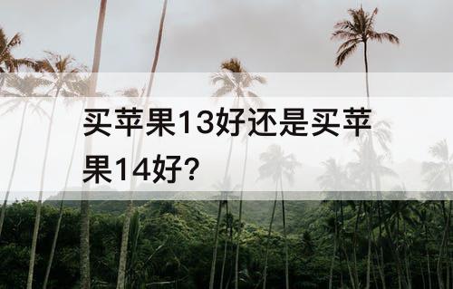 买苹果13好还是买苹果14好?