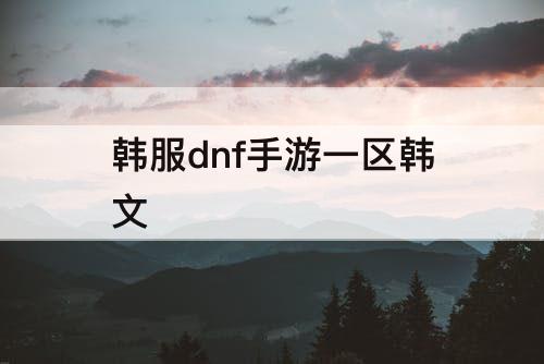韩服dnf手游一区韩文