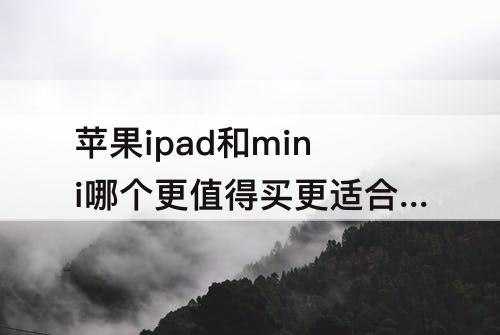 苹果ipad和mini哪个更值得买更适合绘画