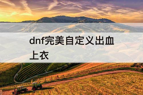 dnf完美自定义出血上衣