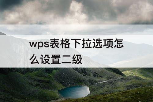 wps表格下拉选项怎么设置二级