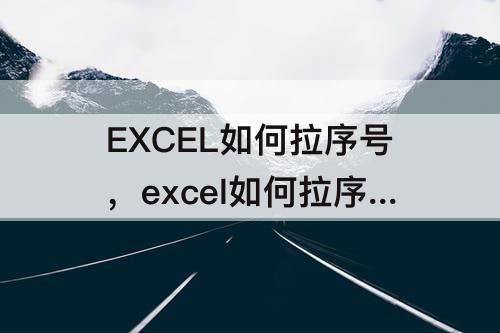 EXCEL如何拉序号，excel如何拉序号排序