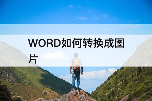 WORD如何转换成图片