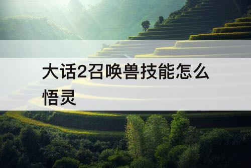 大话2召唤兽技能怎么悟灵