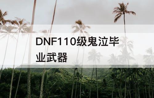 DNF110级鬼泣毕业武器