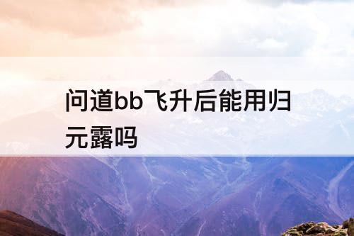 问道bb飞升后能用归元露吗