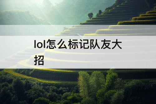 lol怎么标记队友大招