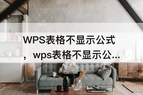 WPS表格不显示公式，wps表格不显示公式要双击才显示怎么办
