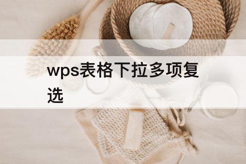 wps表格下拉多项复选