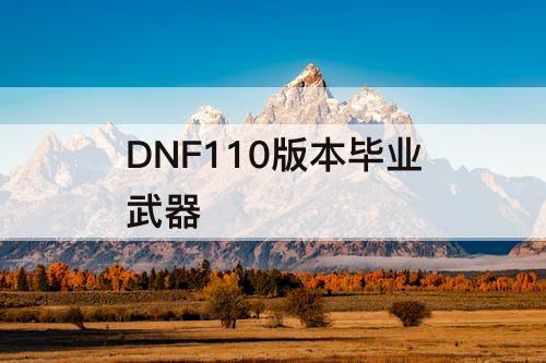 DNF110版本毕业武器