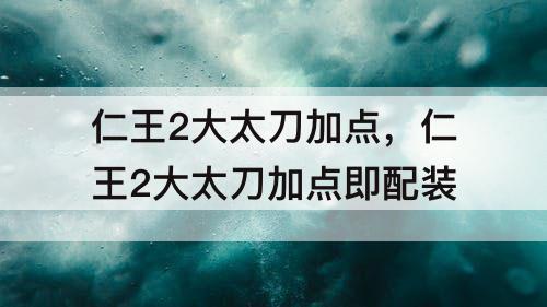 仁王2大太刀加点，仁王2大太刀加点即配装