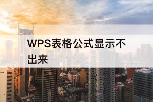 WPS表格公式显示不出来