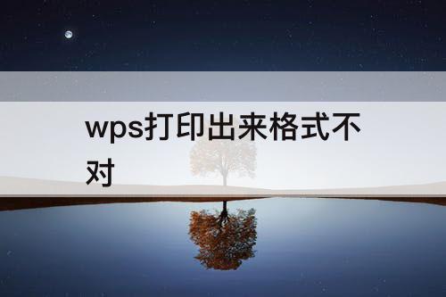 wps打印出来格式不对