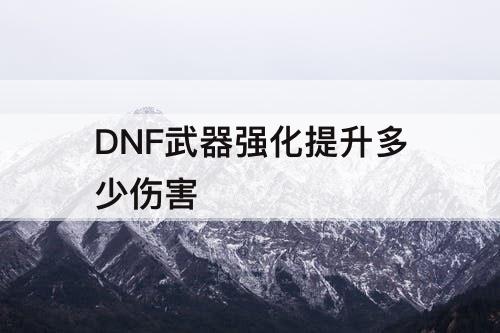 DNF武器强化提升多少伤害