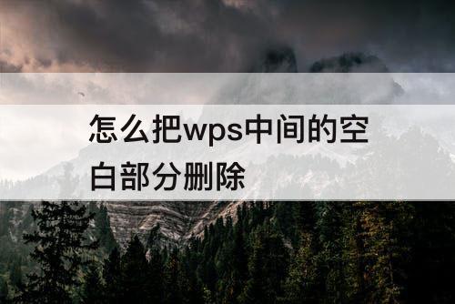 怎么把wps中间的空白部分删除