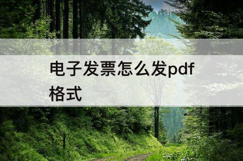 电子发票怎么发pdf格式