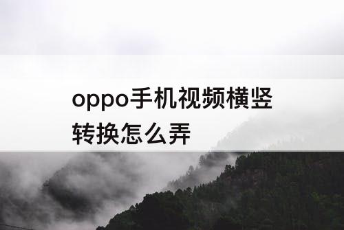 oppo手机视频横竖转换怎么弄