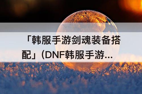 「韩服手游剑魂装备搭配」(DNF韩服手游剑魂装备搭配65)
