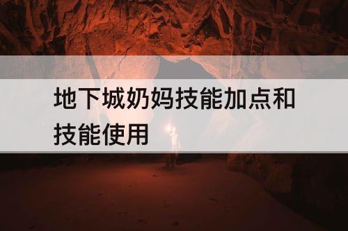 地下城奶妈技能加点和技能使用
