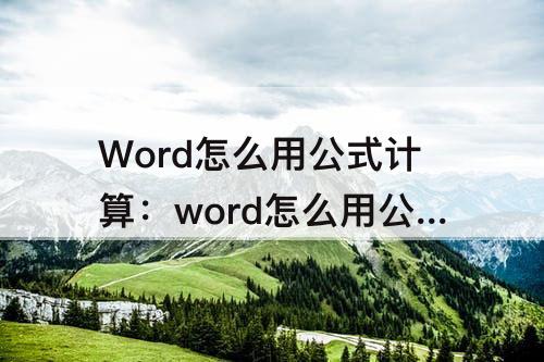 Word怎么用公式计算：word怎么用公式计算金额