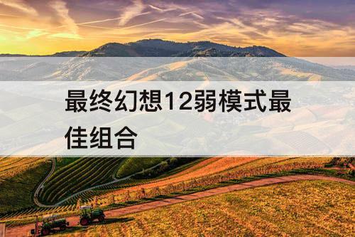 最终幻想12弱模式最佳组合