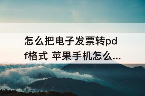 怎么把电子发票转pdf格式 苹果手机怎么把电子发票转pdf格式