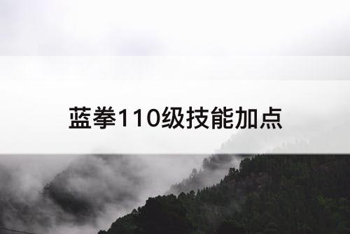 蓝拳110级技能加点