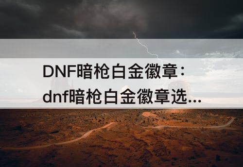 DNF暗枪白金徽章：dnf暗枪白金徽章选择