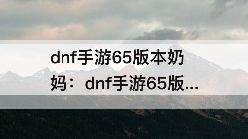 dnf手游65版本奶妈：dnf手游65版本奶妈装备选择