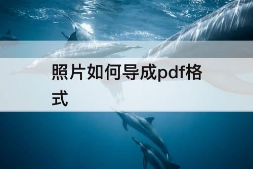 照片如何导成pdf格式