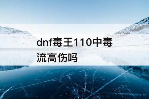 dnf毒王110中毒流高伤吗
