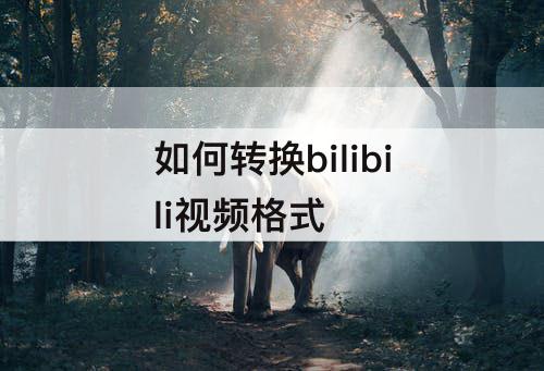 如何转换bilibili视频格式