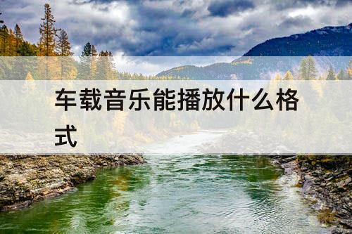 车载音乐能播放什么格式