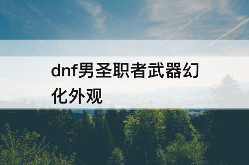 dnf男圣职者武器幻化外观