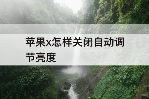 苹果x怎样关闭自动调节亮度