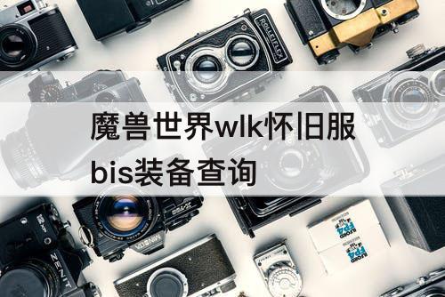 魔兽世界wlk怀旧服bis装备查询